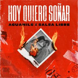 Cover of Hoy Quiero Soñar