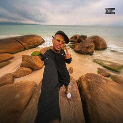 Cover of Nem Ligo Pro Amor