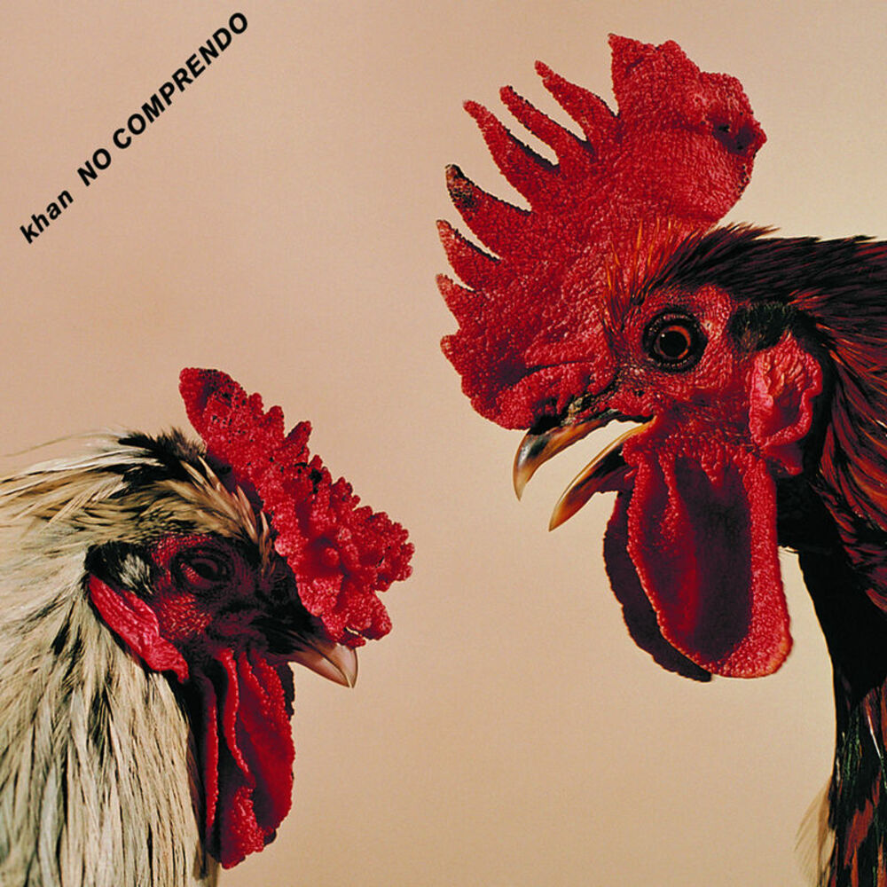 Picture of No Comprendo