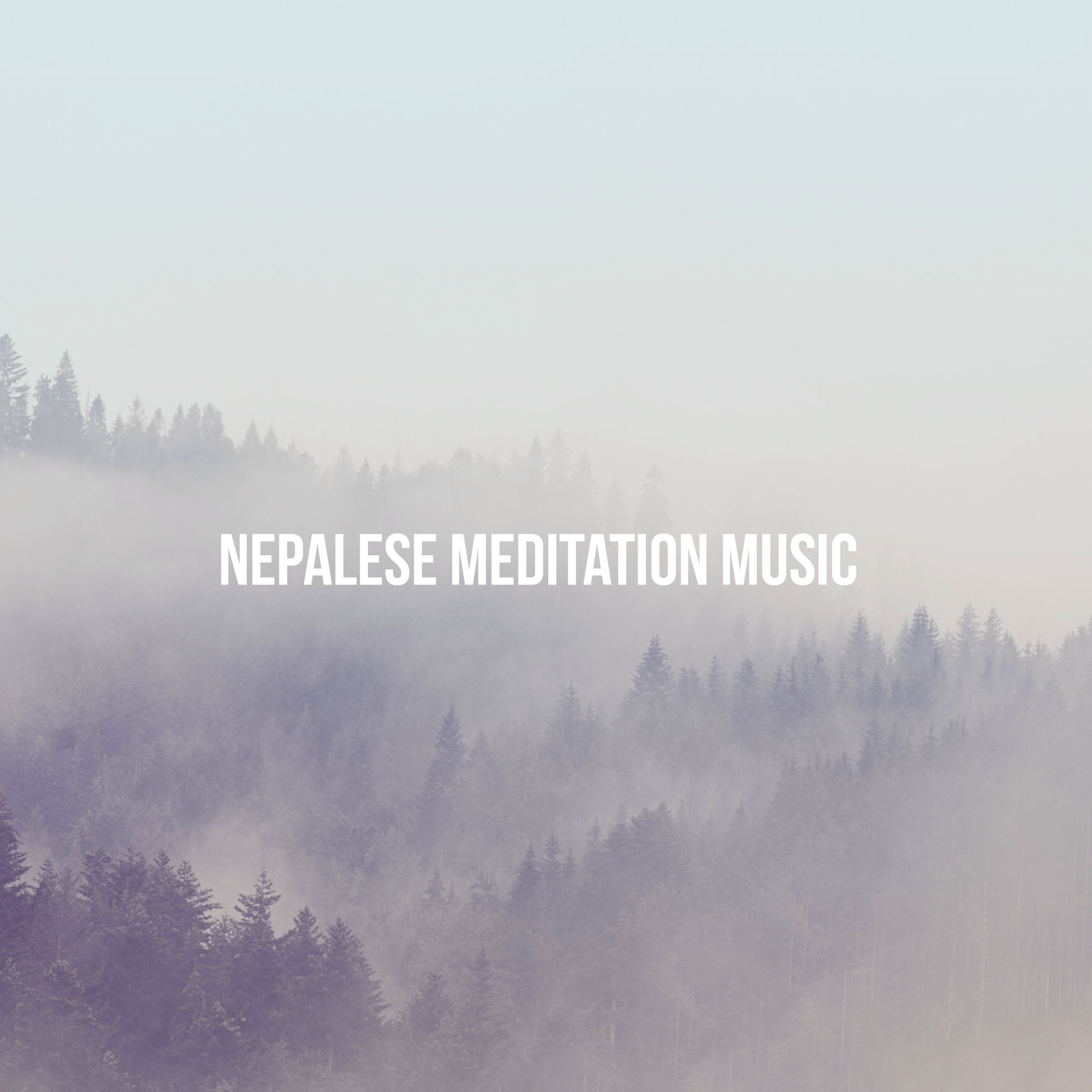 Album cover of Nepalese Meditation Music