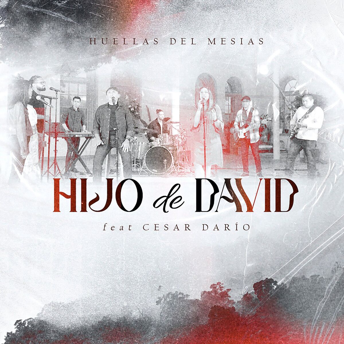 Album cover of Hijo De David