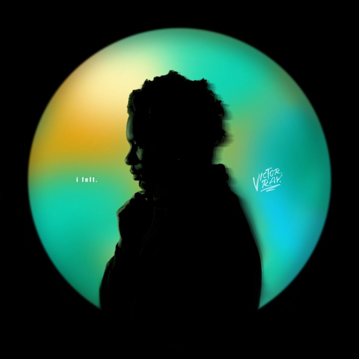Album cover of i felt.