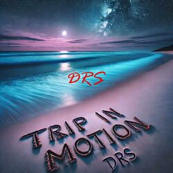 Cover of Trip in motion