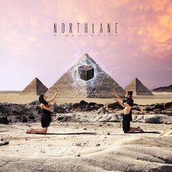Cover of Singularity