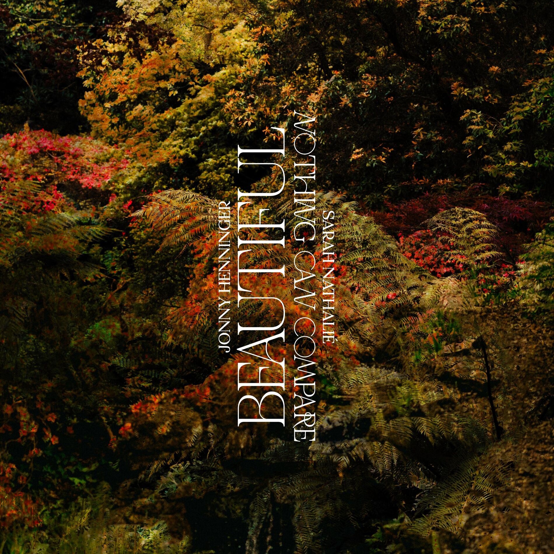 Album cover of Beautiful / Nothing Can Compare
