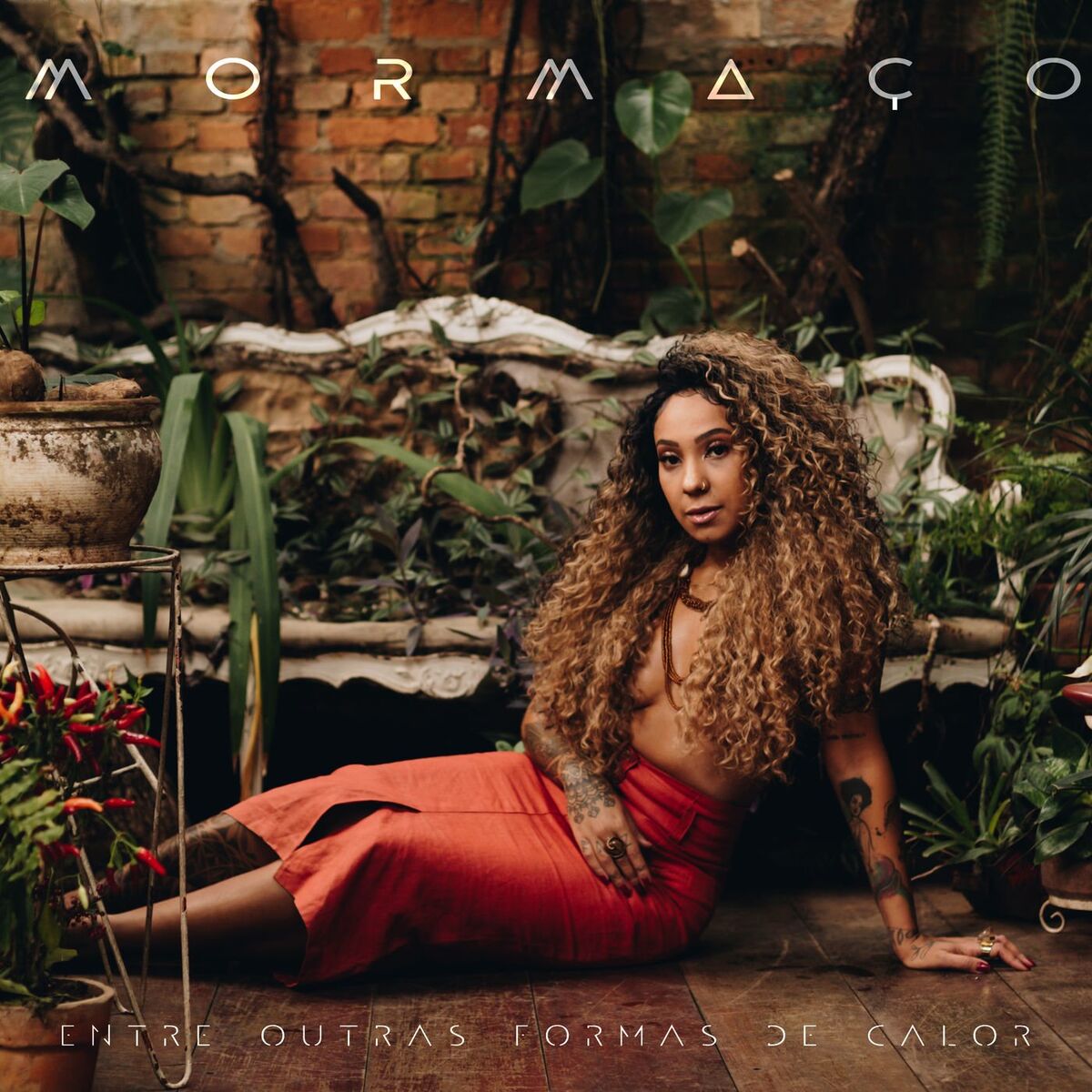 Album cover of MORMAÇO - Entre Outras Formas de Calor