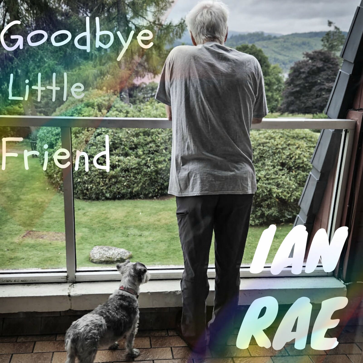Album cover of Goodbye Little Friend