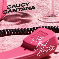 Cover of 1-800-Bad-Bxtch