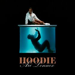 Cover of Hoodie