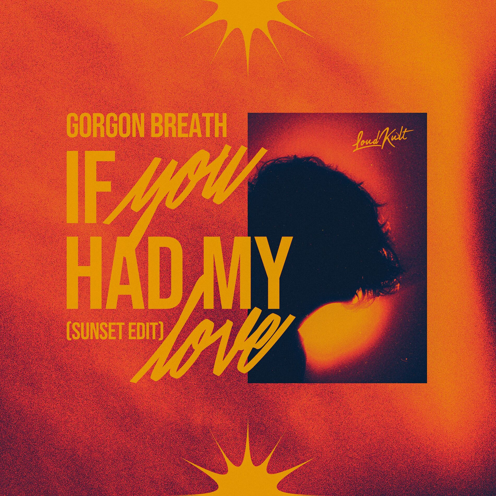 Album cover of If You Had My Love (Sunset Edit)