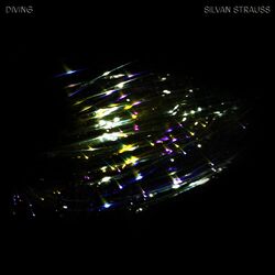 Cover of DIVING