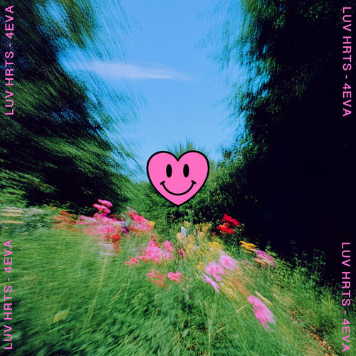 4EVA artwork