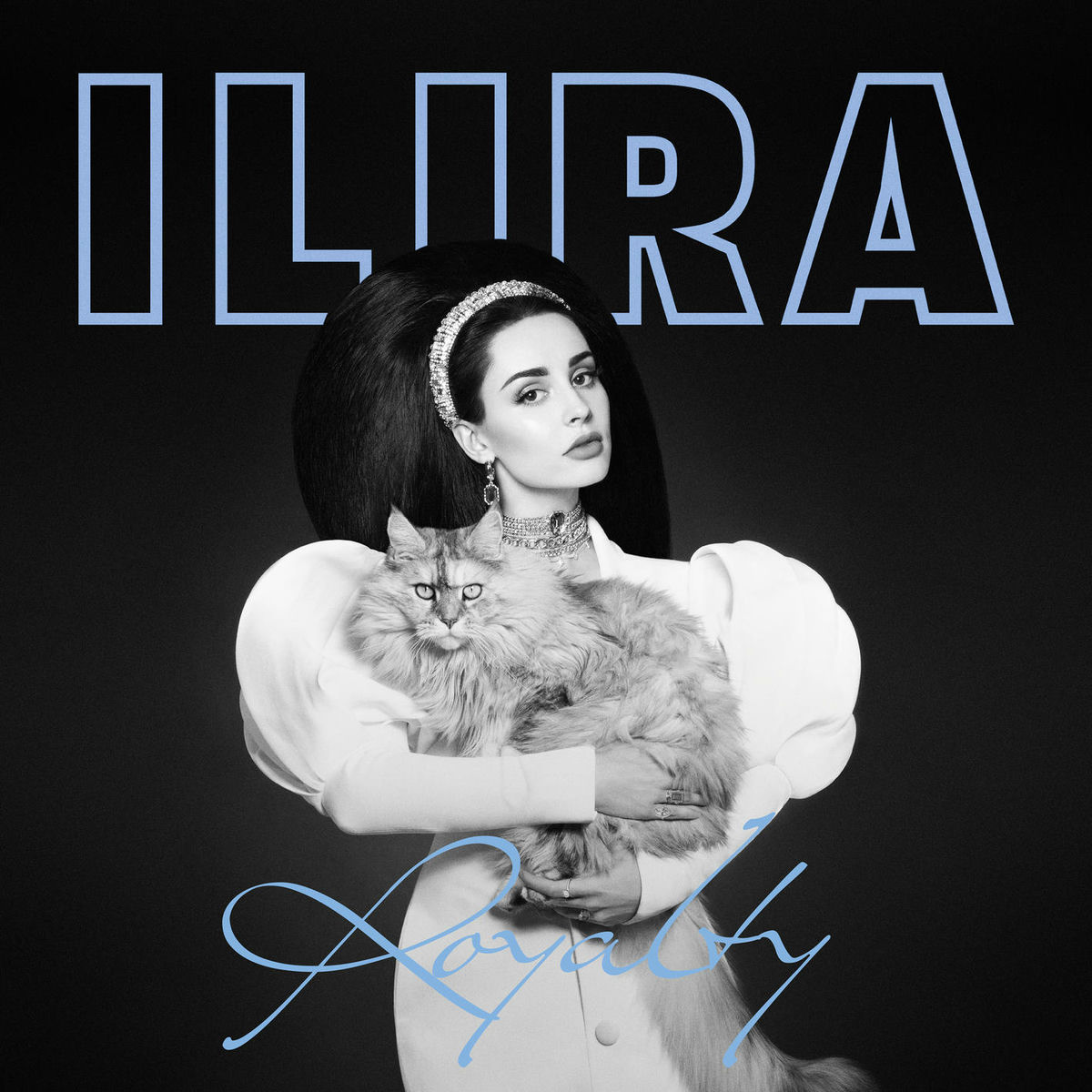 Album cover of ROYALTY