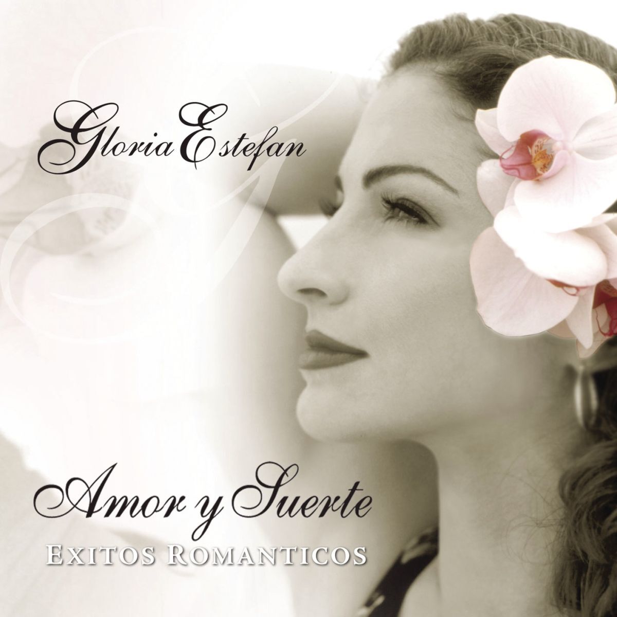 Album cover of Amor Y Suerte