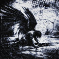 i've lost my wings