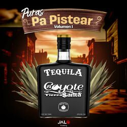 Cover of Puras Pa Pistear Volumen 1
