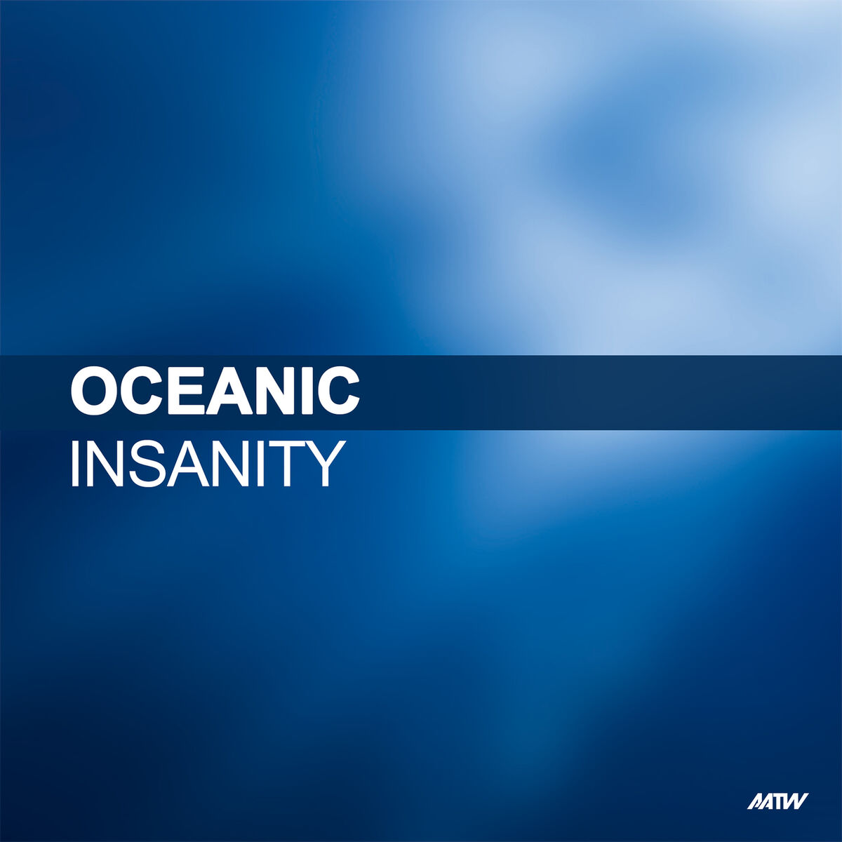 Album cover of Insanity