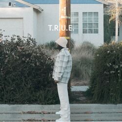 Cover of T.R.U.E.