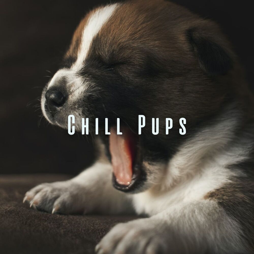 Picture of Chill Pups: Relaxation Sounds for a Happy Dog