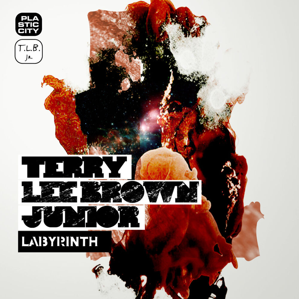 Picture of Terry Lee Brown Junior - Labyrinth (MP3 Album)