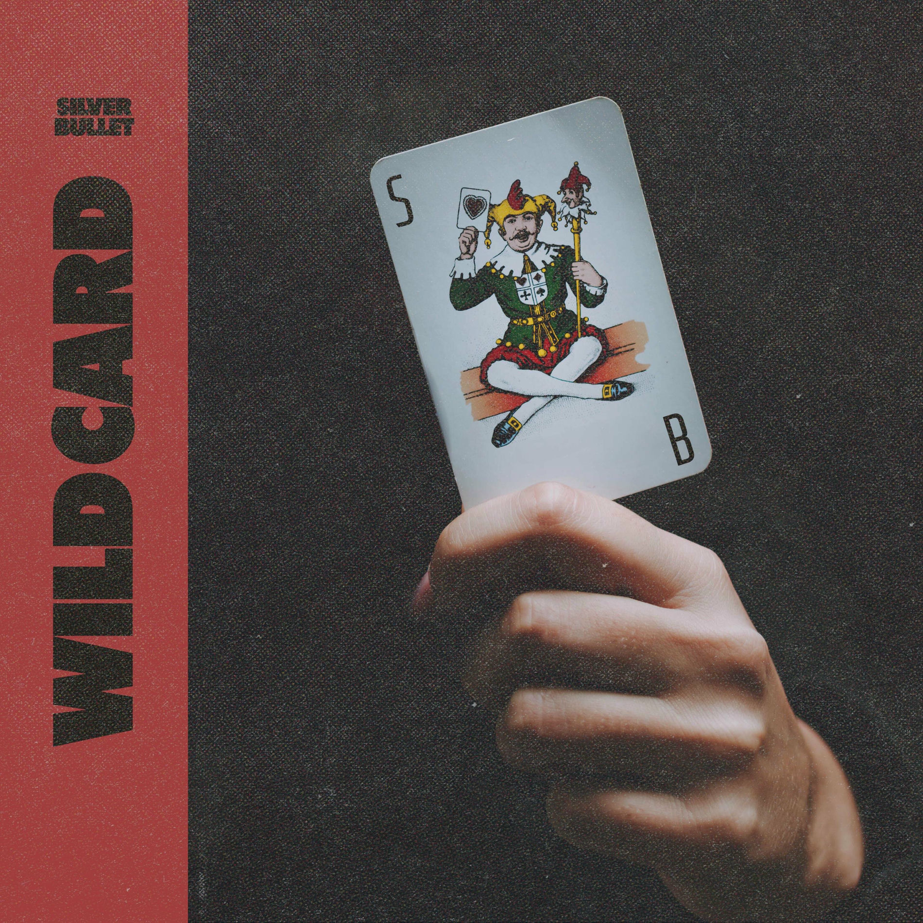 Album cover of WILD CARD