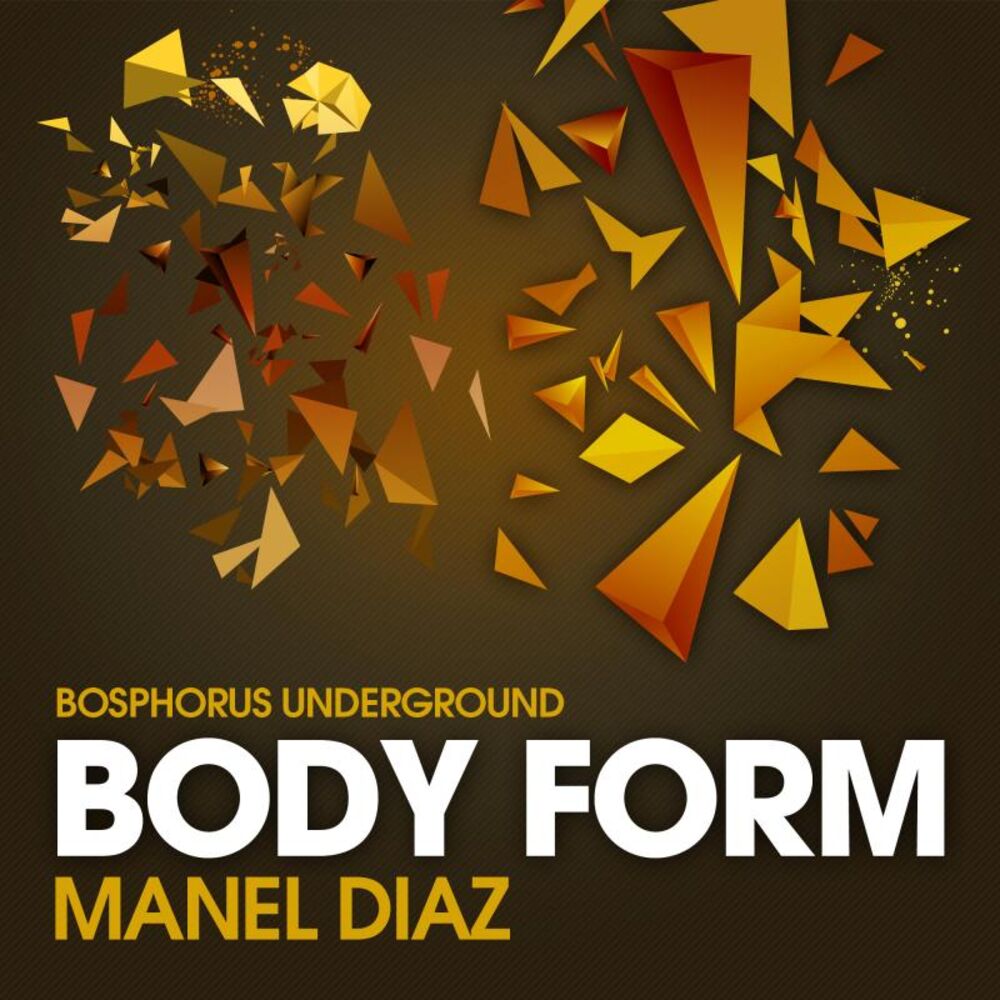 Picture of Body Form