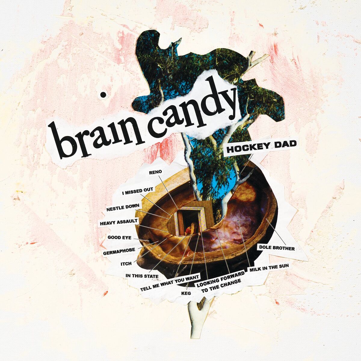 Album cover of Brain Candy