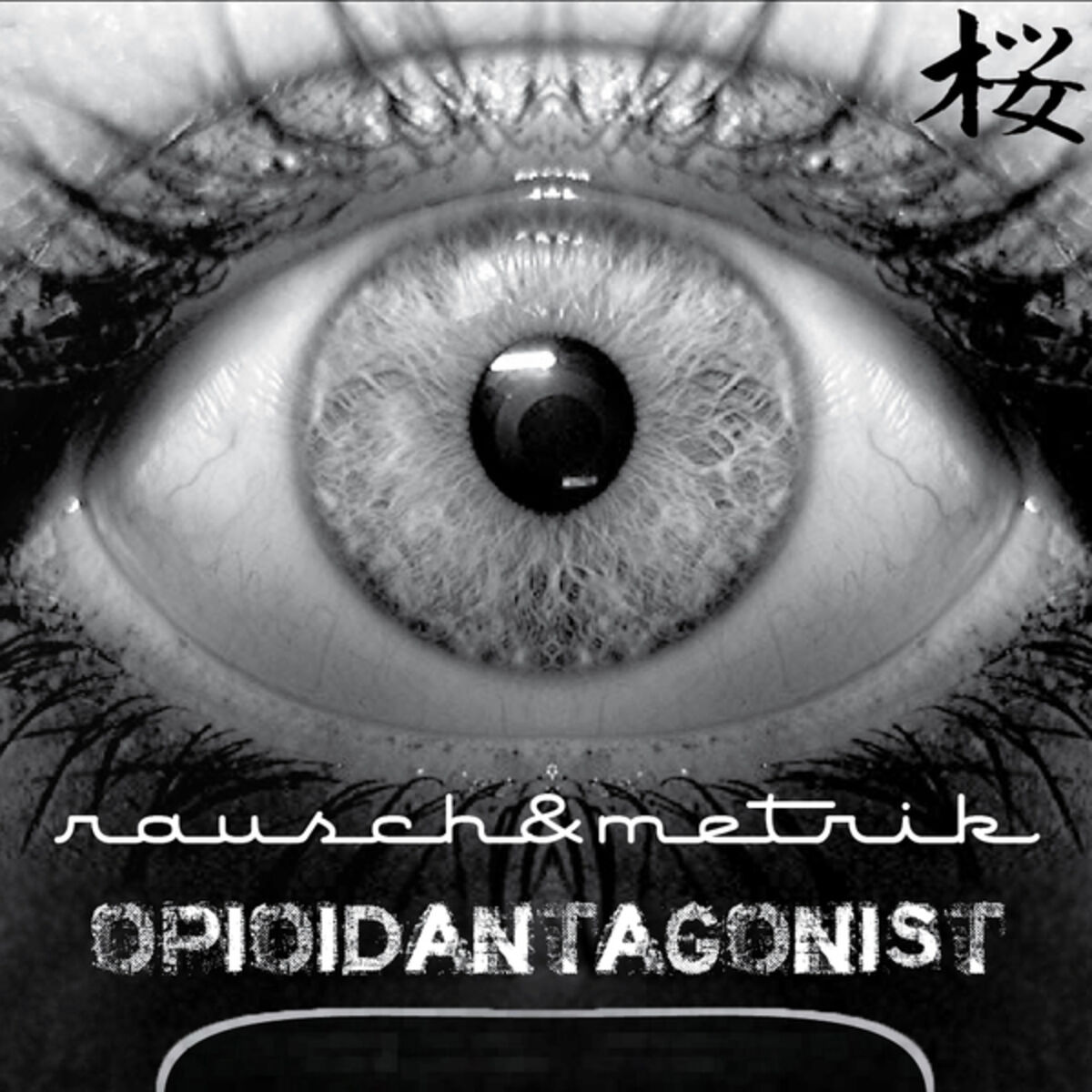 Album cover of Opioidantagonist