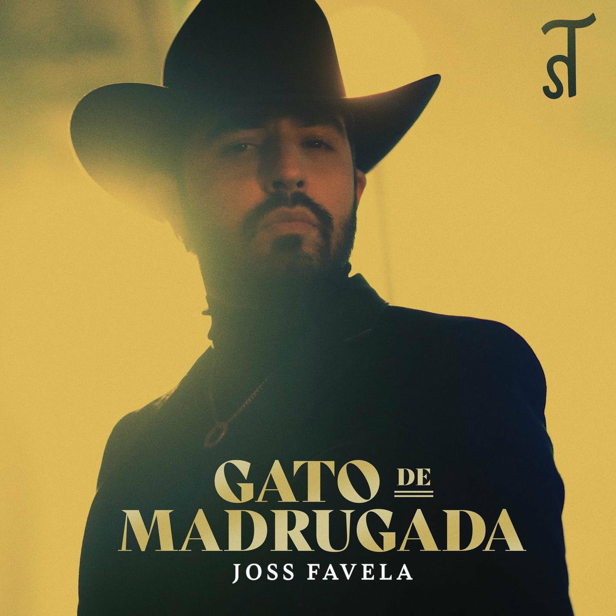Album cover of Gato de Madrugada