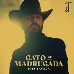 Cover of Gato de Madrugada