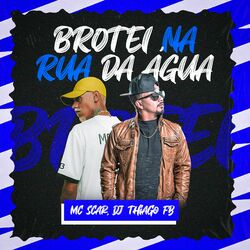 Cover of Brotei na Rua da Água