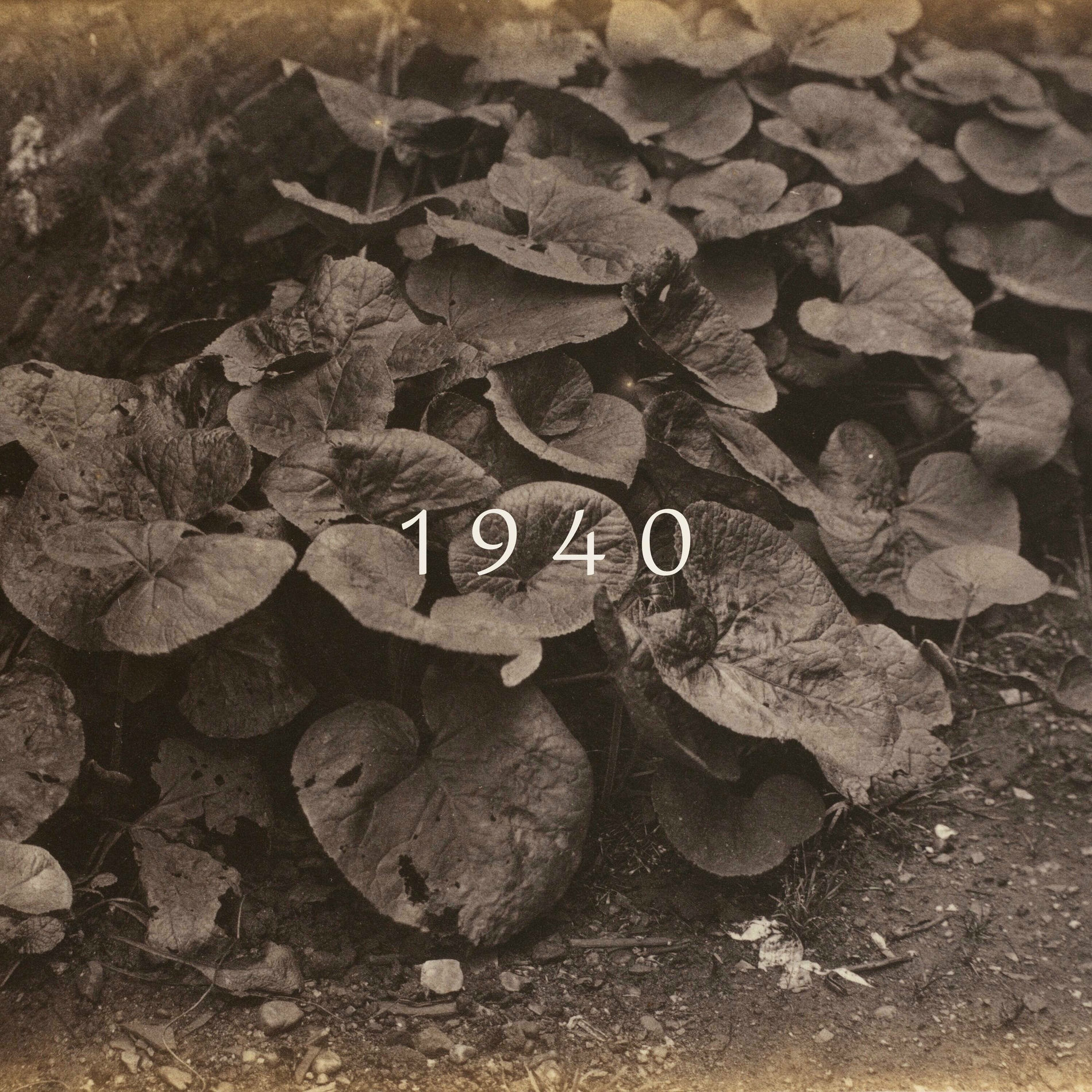 Album cover of 1940 (feat. John Lucas)