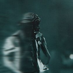 Cover of I Call