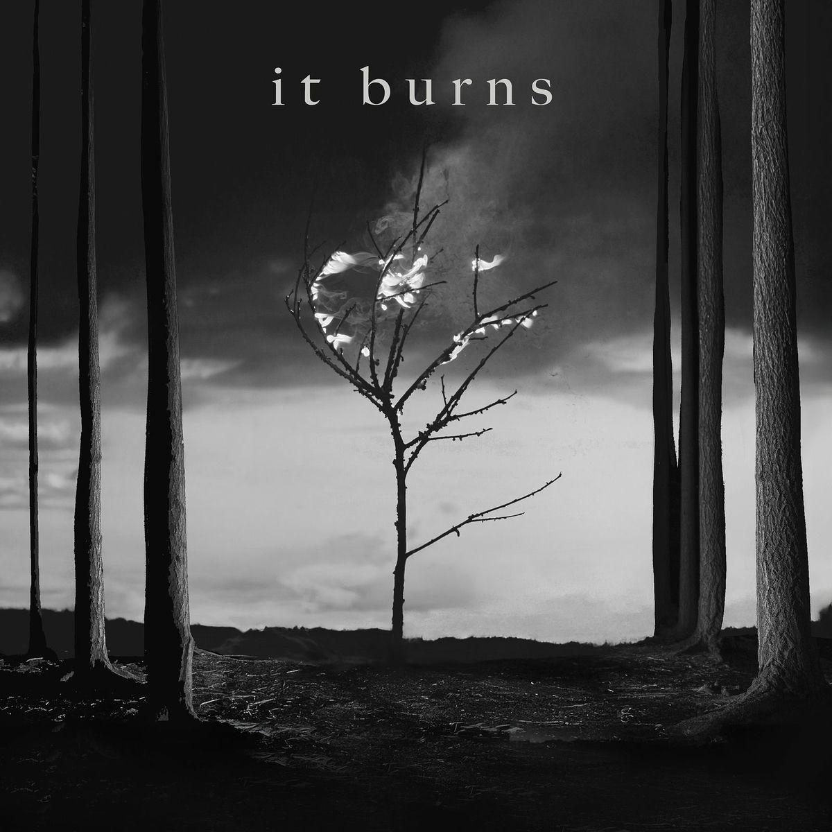 Album cover of It Burns