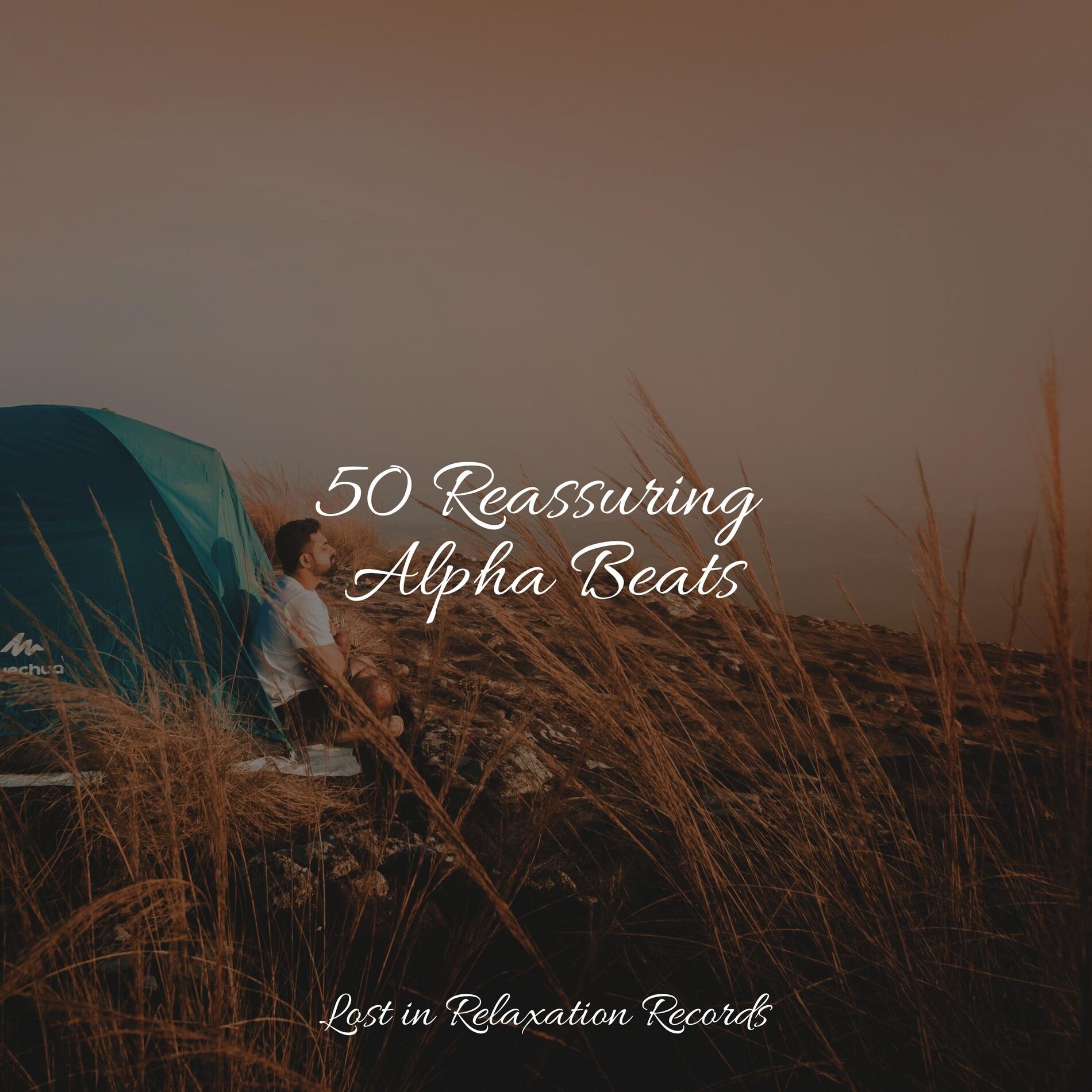 Album cover of 50 Reassuring Alpha Beats
