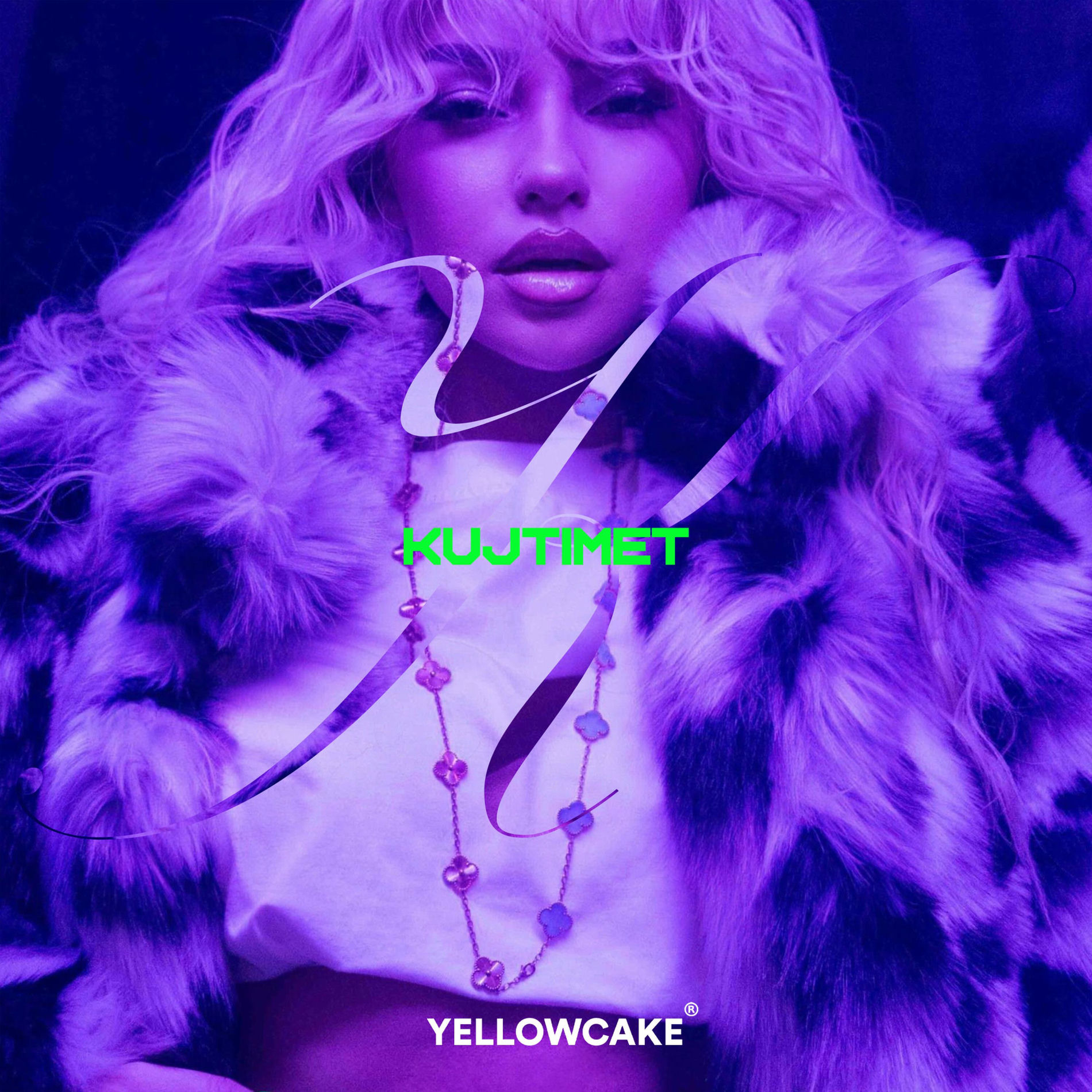 Album cover of Kujtimet