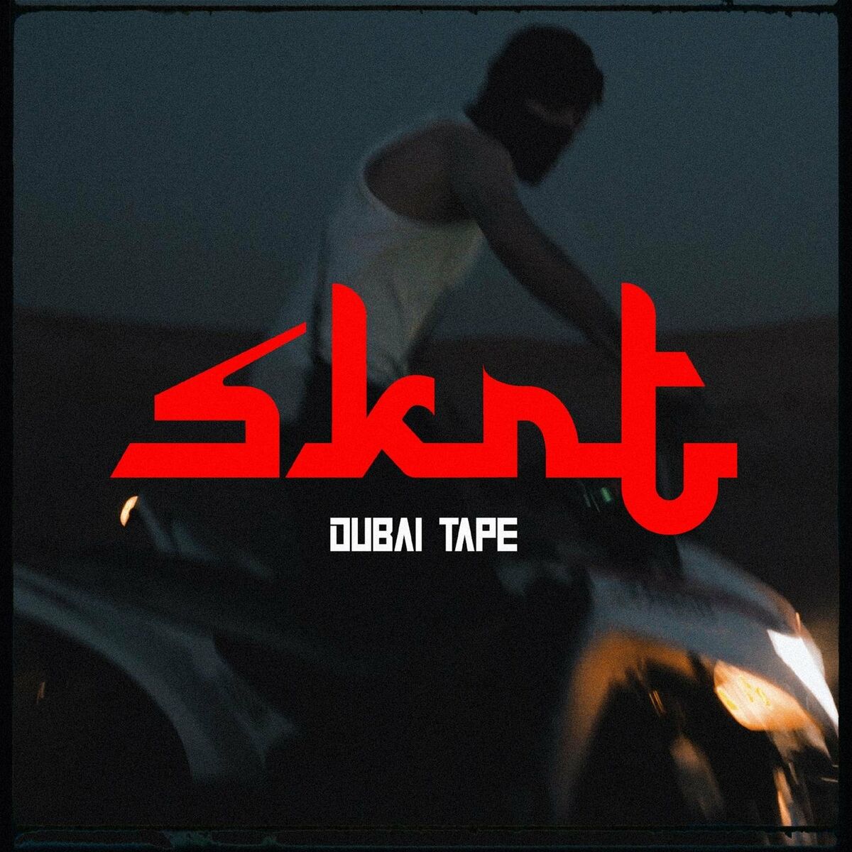 Album cover of SKRT