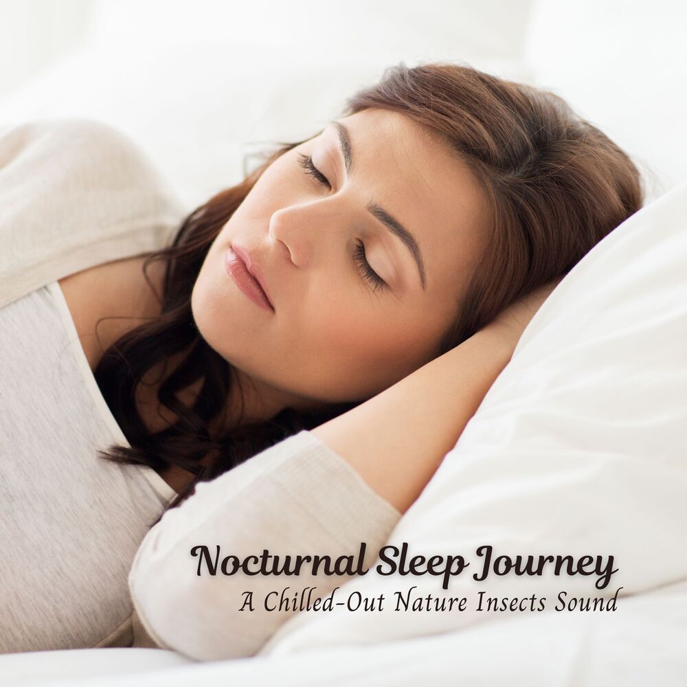 Picture of Nocturnal Sleep Journey: A Chilled-Out Nature Insects Sound
