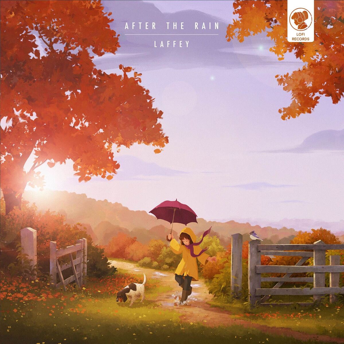 Album cover of After The Rain