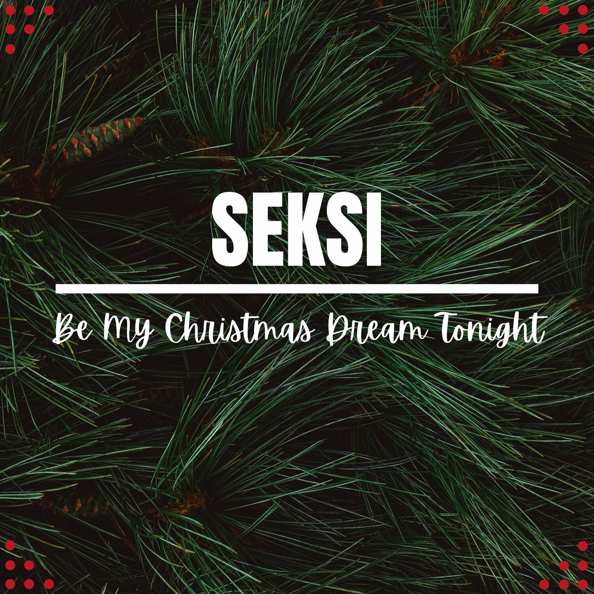 Album cover of Be My Christmas Dream Tonight