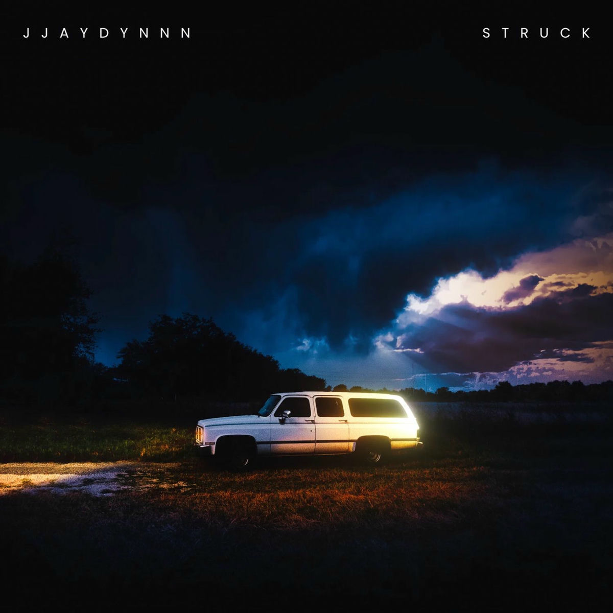 Album cover of struck