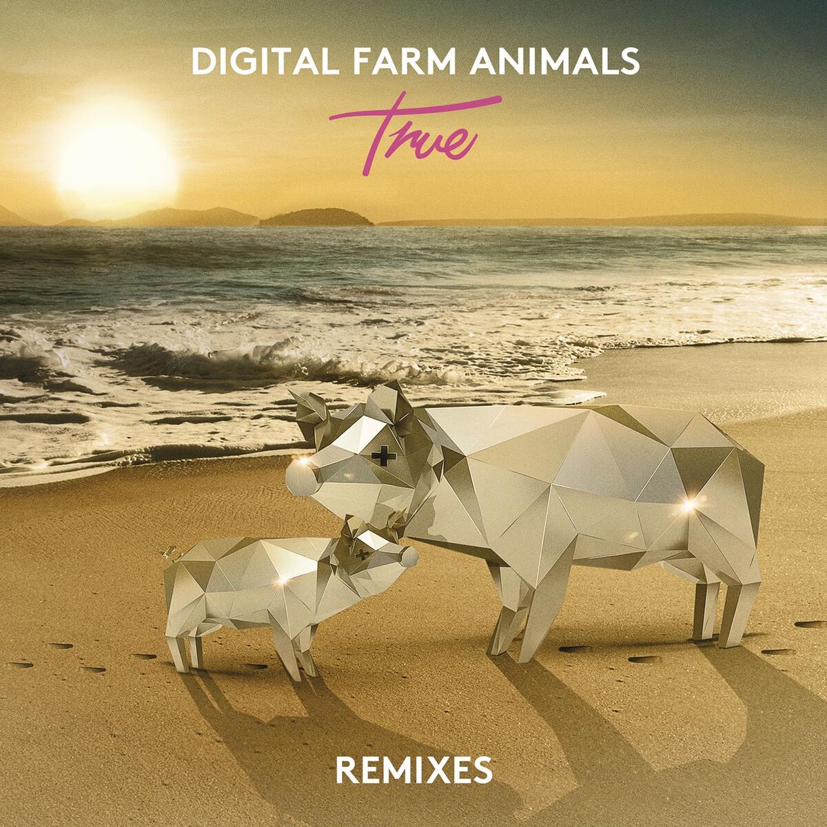 Album cover of True (Remixes)