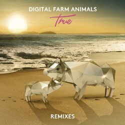 Cover of True (Remixes)