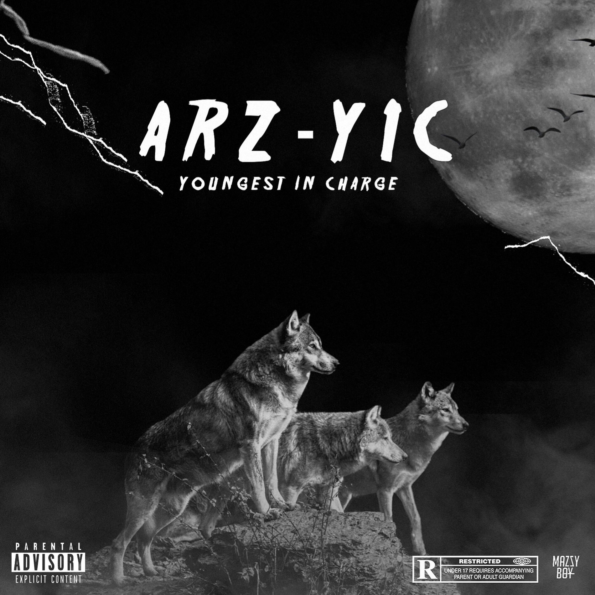 Album cover of Y1C