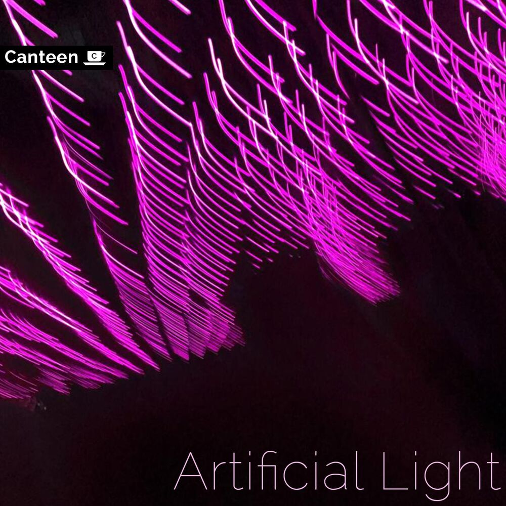 Picture of Artificial Lights