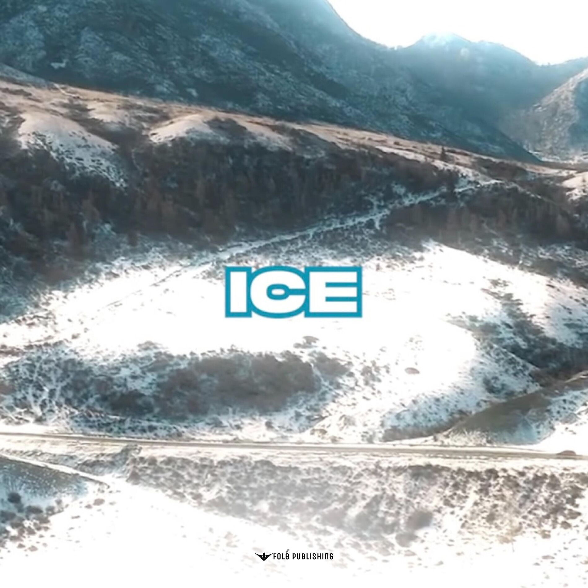 Album cover of ICE