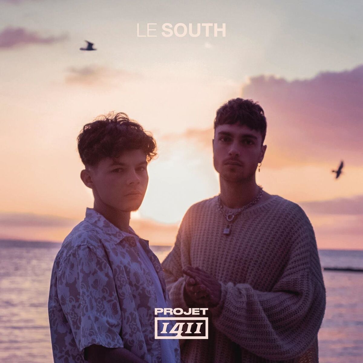 Album cover of Panthère