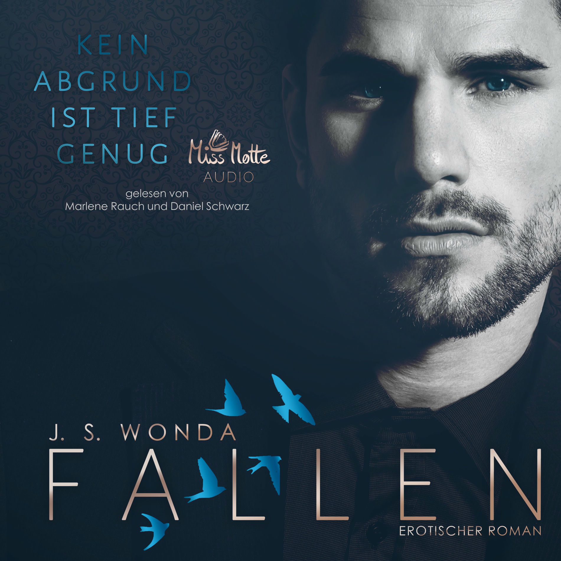 Album cover of Kapitel 1 - Fallen 1 - Kein Abgrund ist tief genug