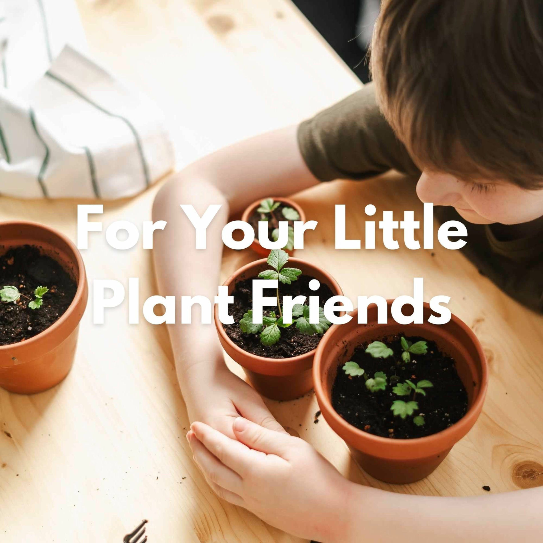 Album cover of For Your Little Plant Friends