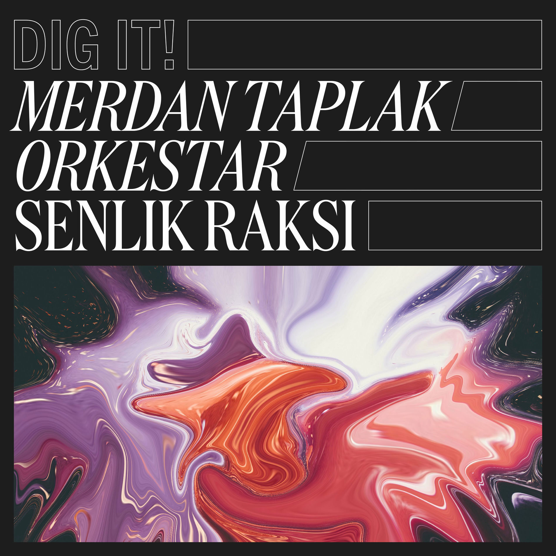 Album cover of Senlik Raksi